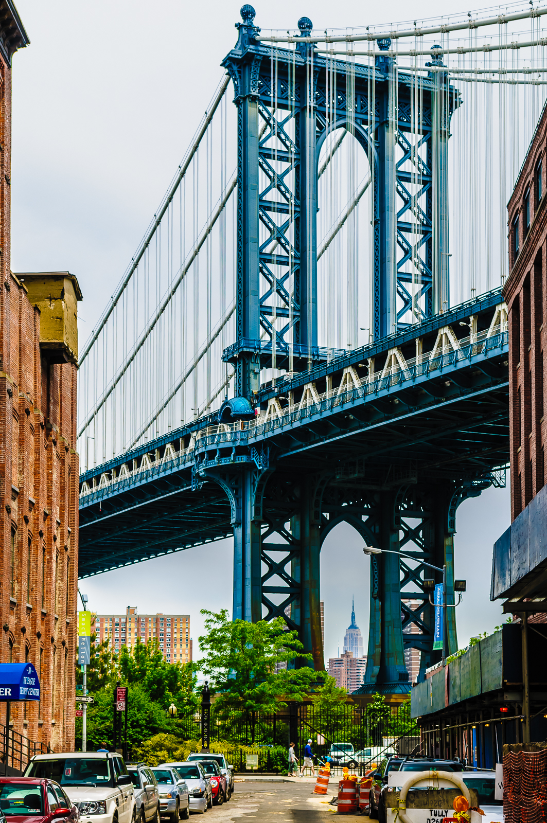 dumbo-8411