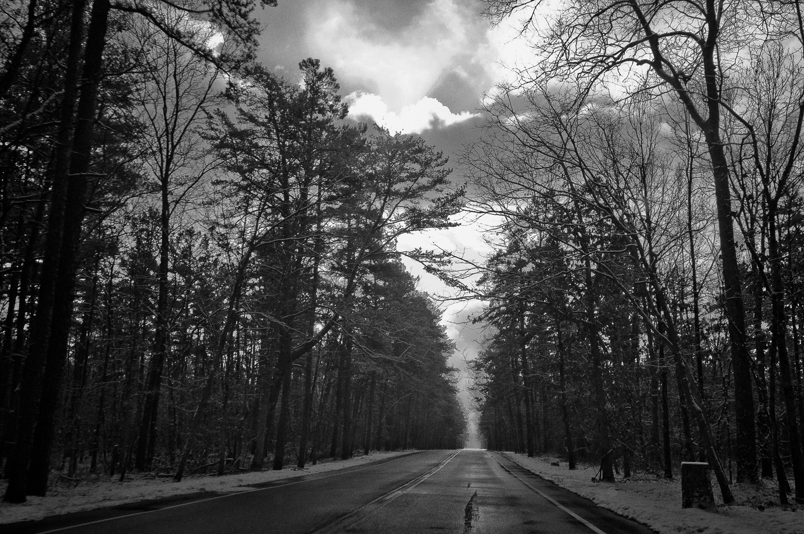 pine-lands-3750