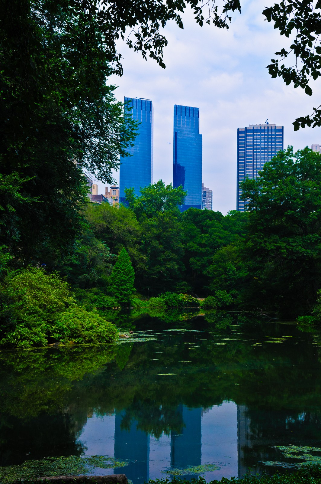 central-park-0449