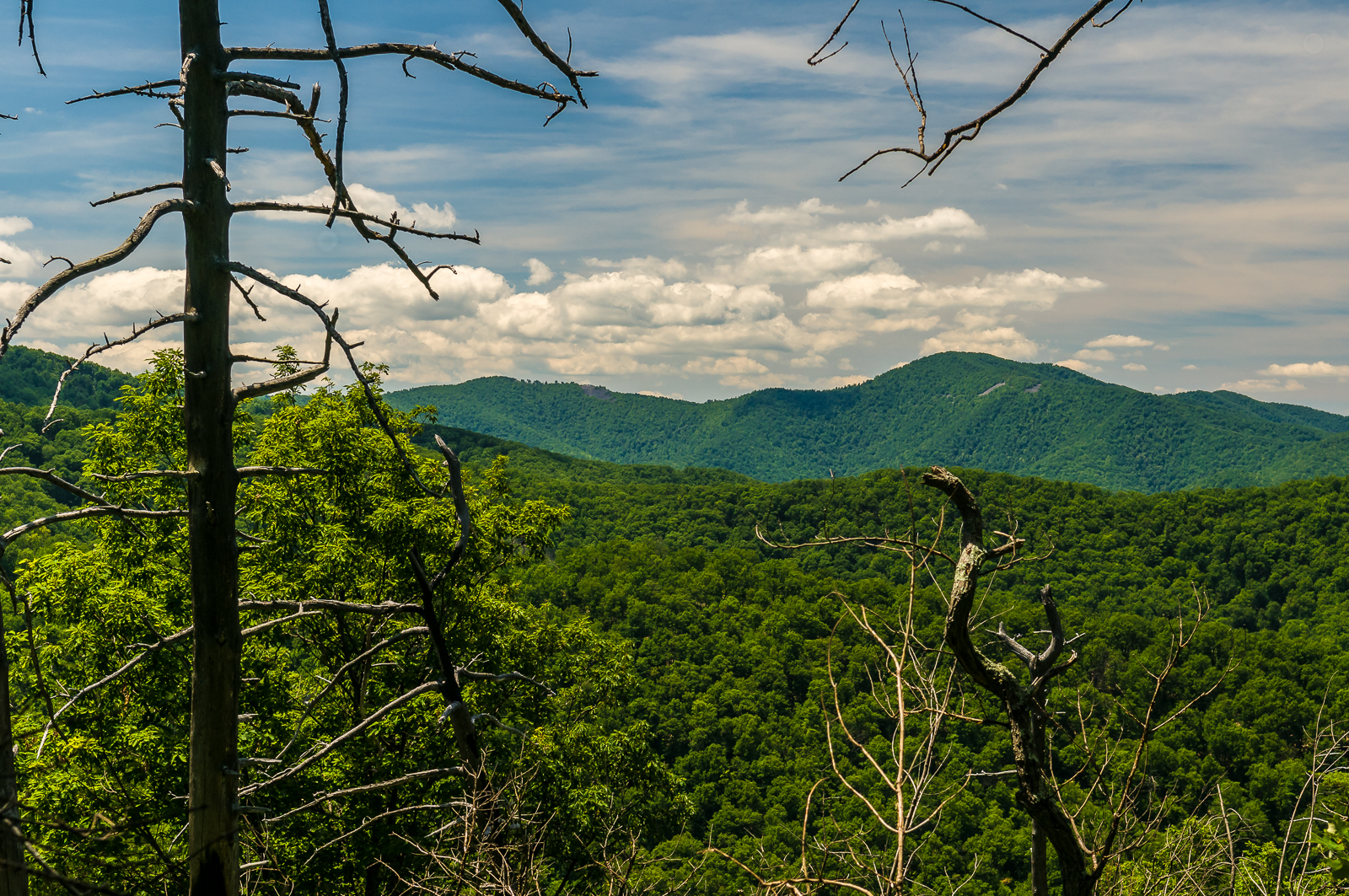 shenandoah-valley-0874
