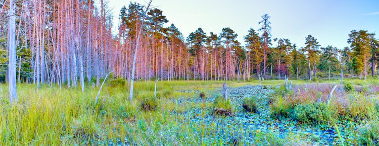 Days end at Atsion Lake photo