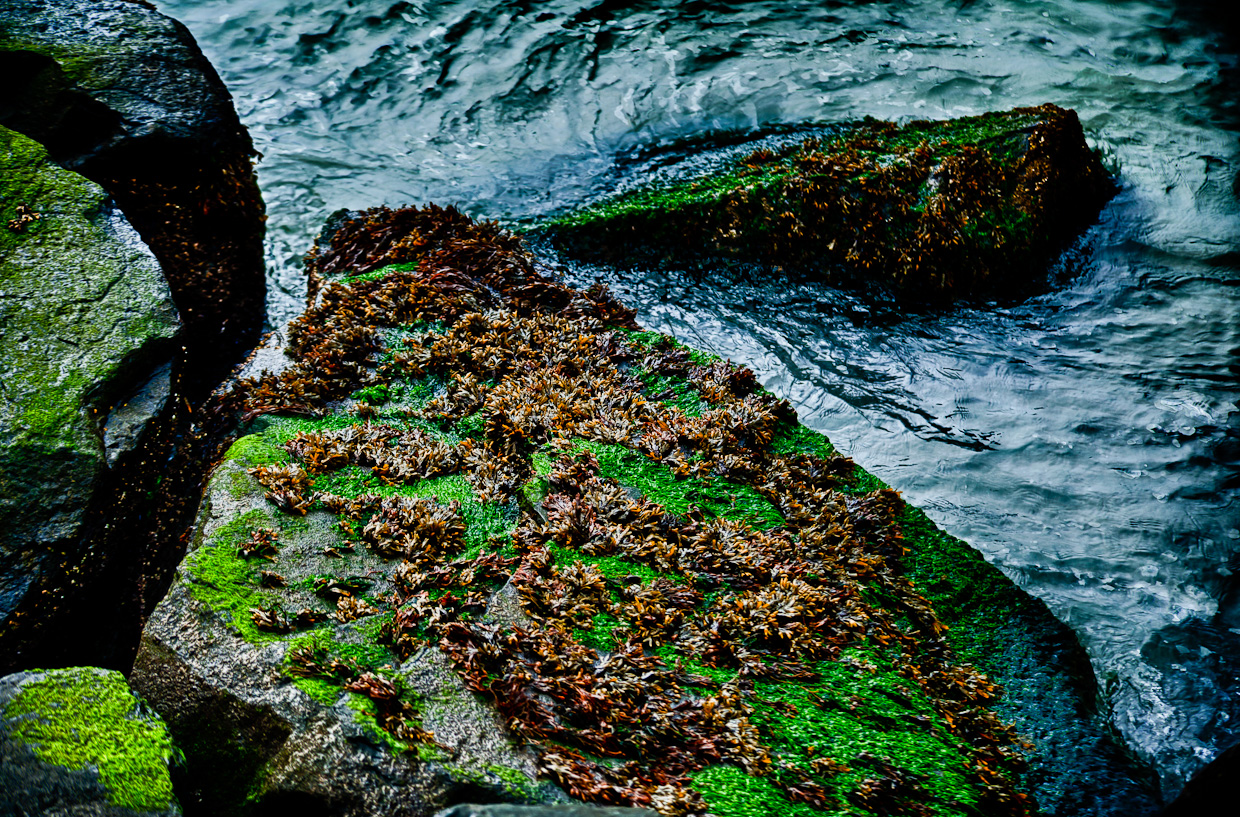 Green rocks-photo 5879