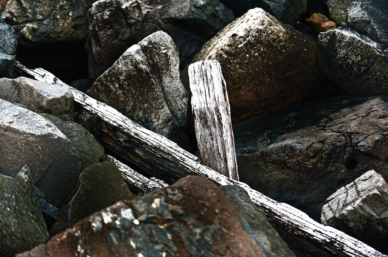 rocks and boards photo 5901