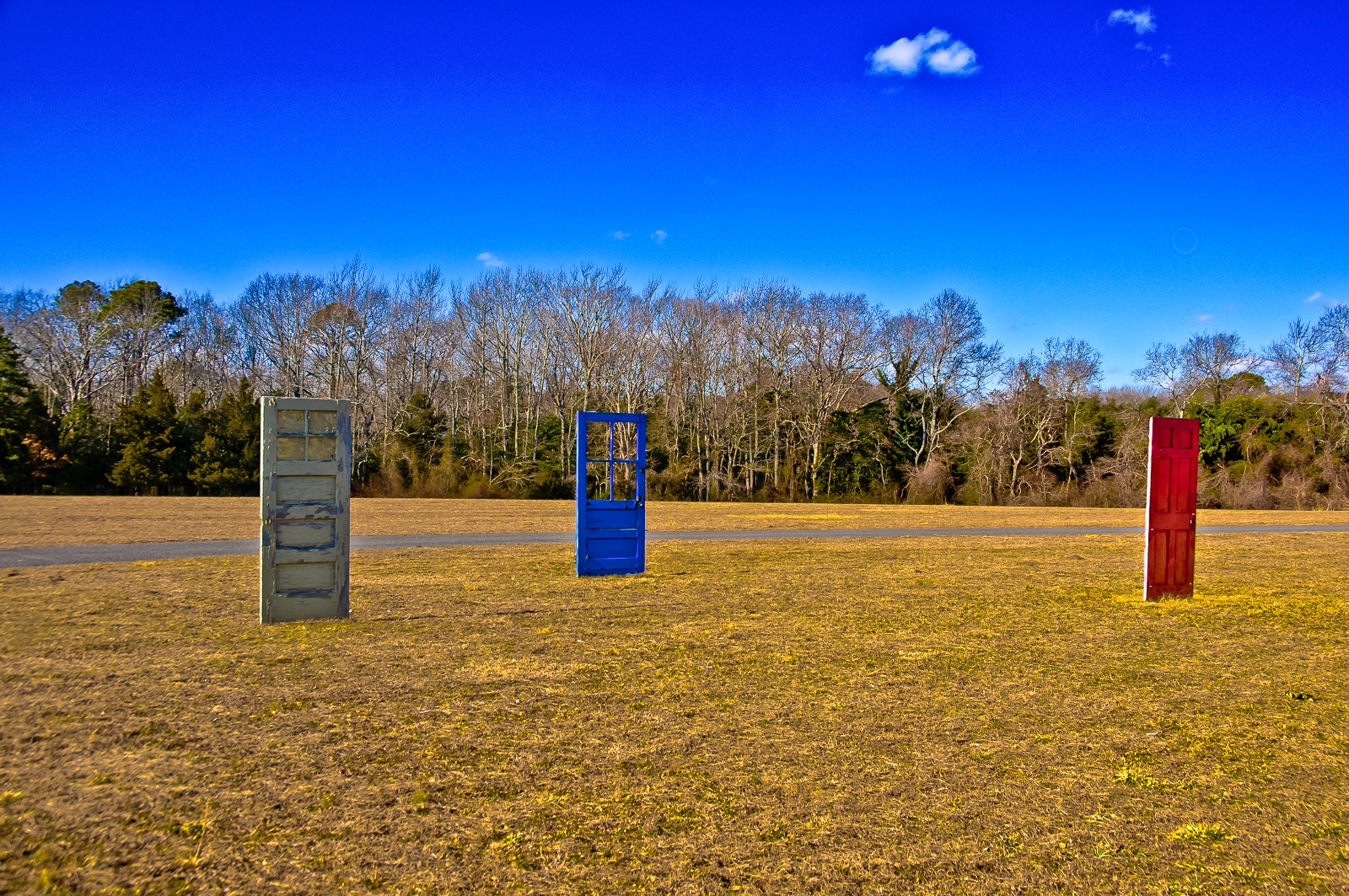 doors-