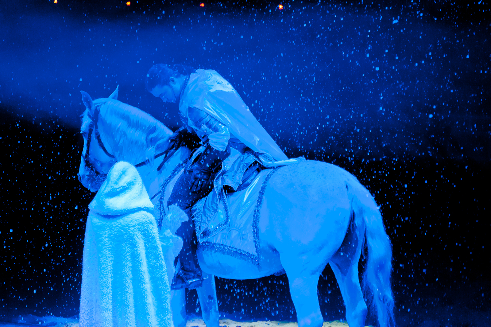 photograph of a blue-knight-8164