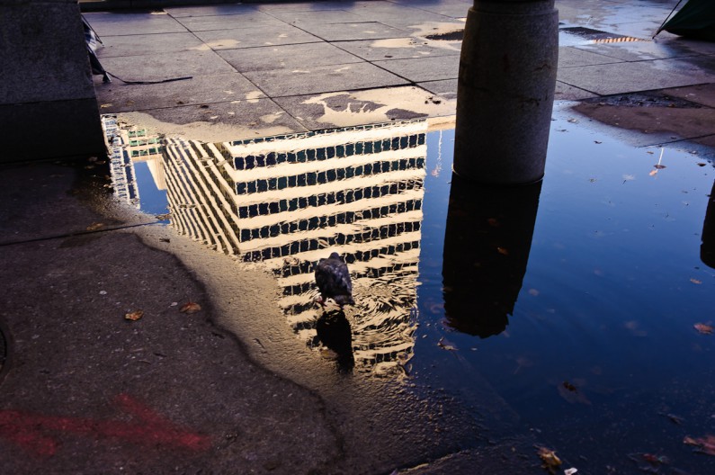Reflections Reflections