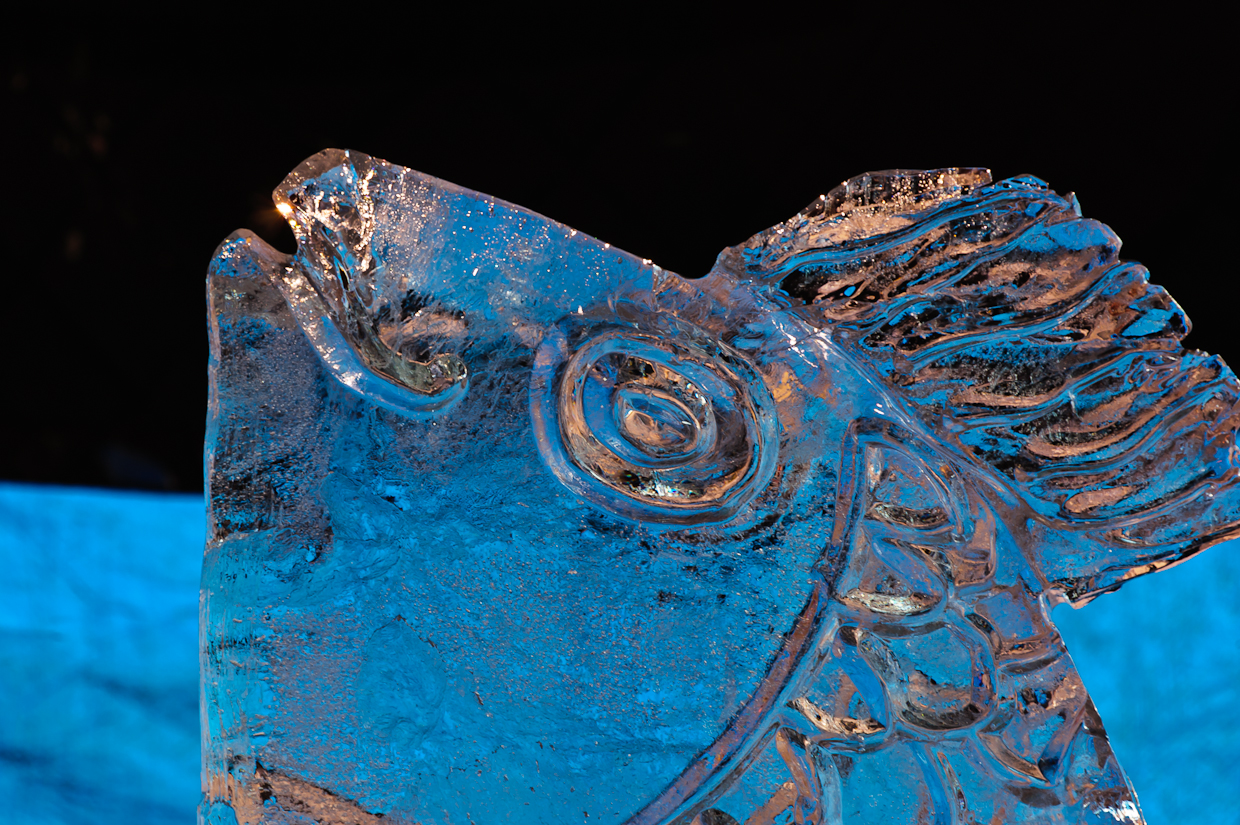 fire-ice-4008