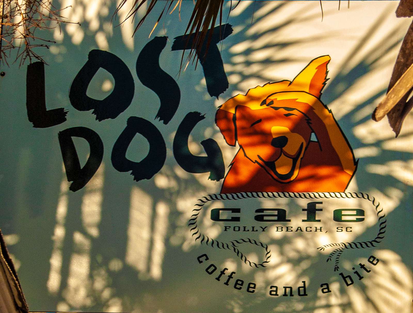 lost dog cafe photo