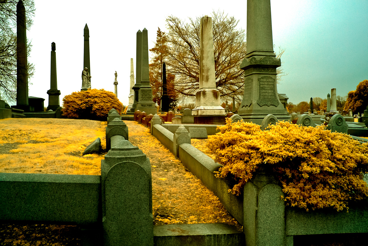 Laurel-Hill-Cemetery-4061