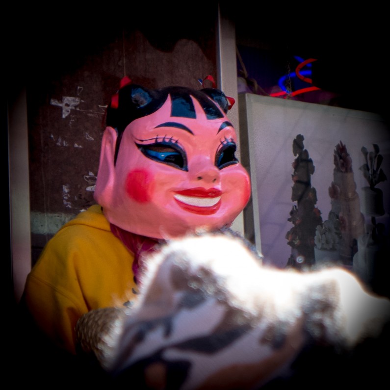 chinese-new-year-2013-1000133