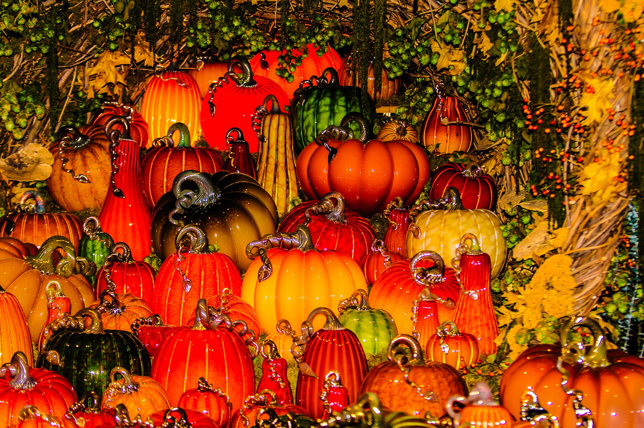 pumpkins-louis-dallara-3775