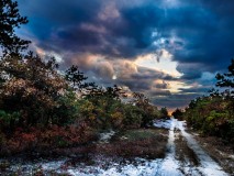 pine-lands-nj-3636