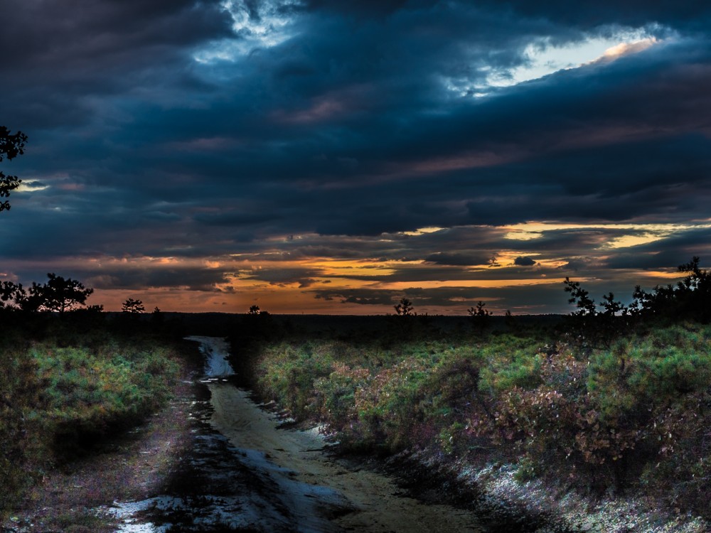 pinebarrens-sunset-83644-1000x750