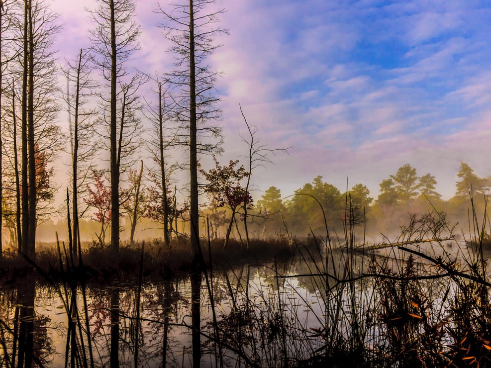 quaker-bridge-pinelands-