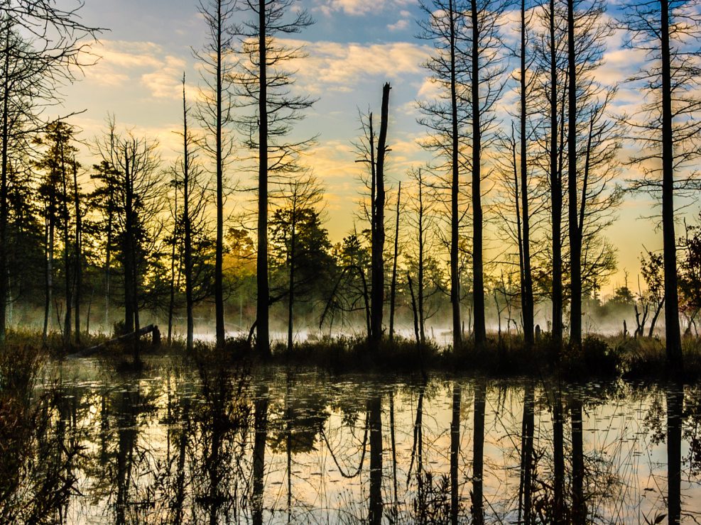quaker-bridge-pinelands-0720