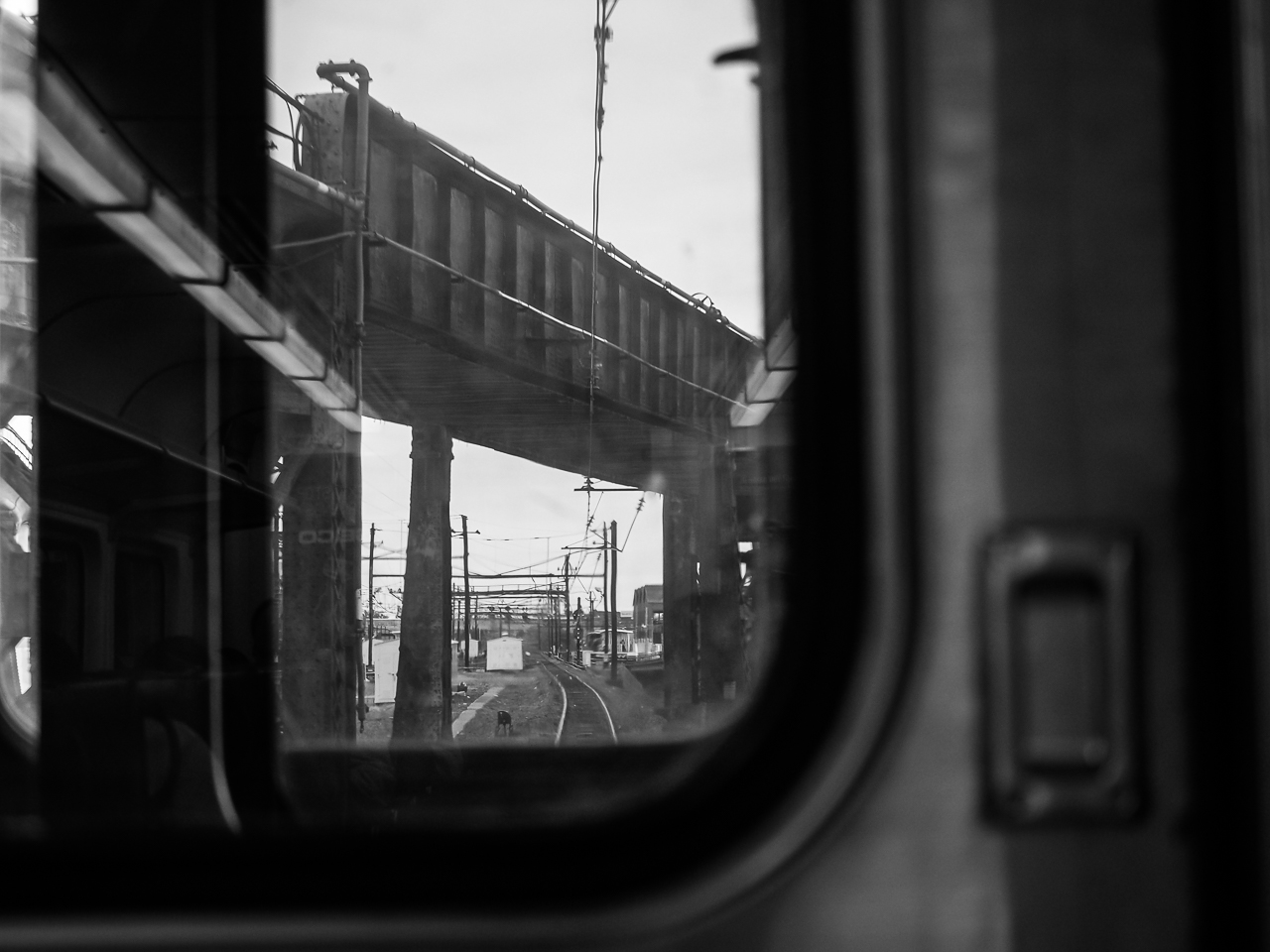 NJ Transit railroads-3731