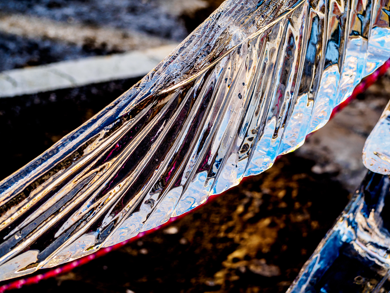 Fire and Ice Festival 2015-4454