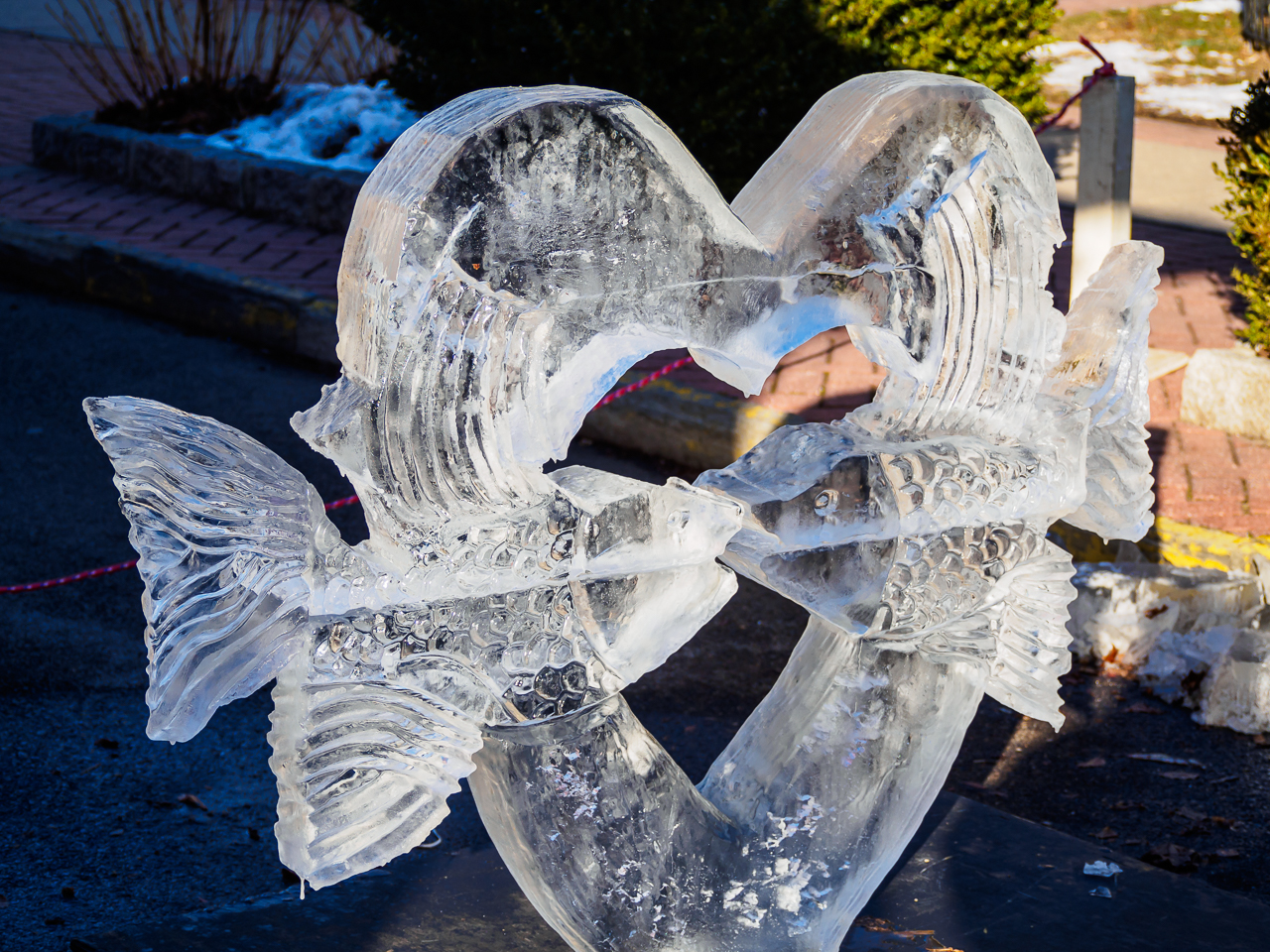 Fire and Ice Festival 2015-4