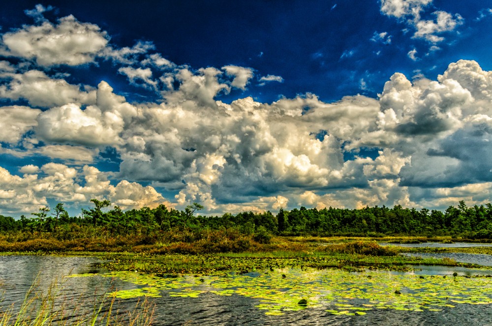 whitesbog-4-1000x664