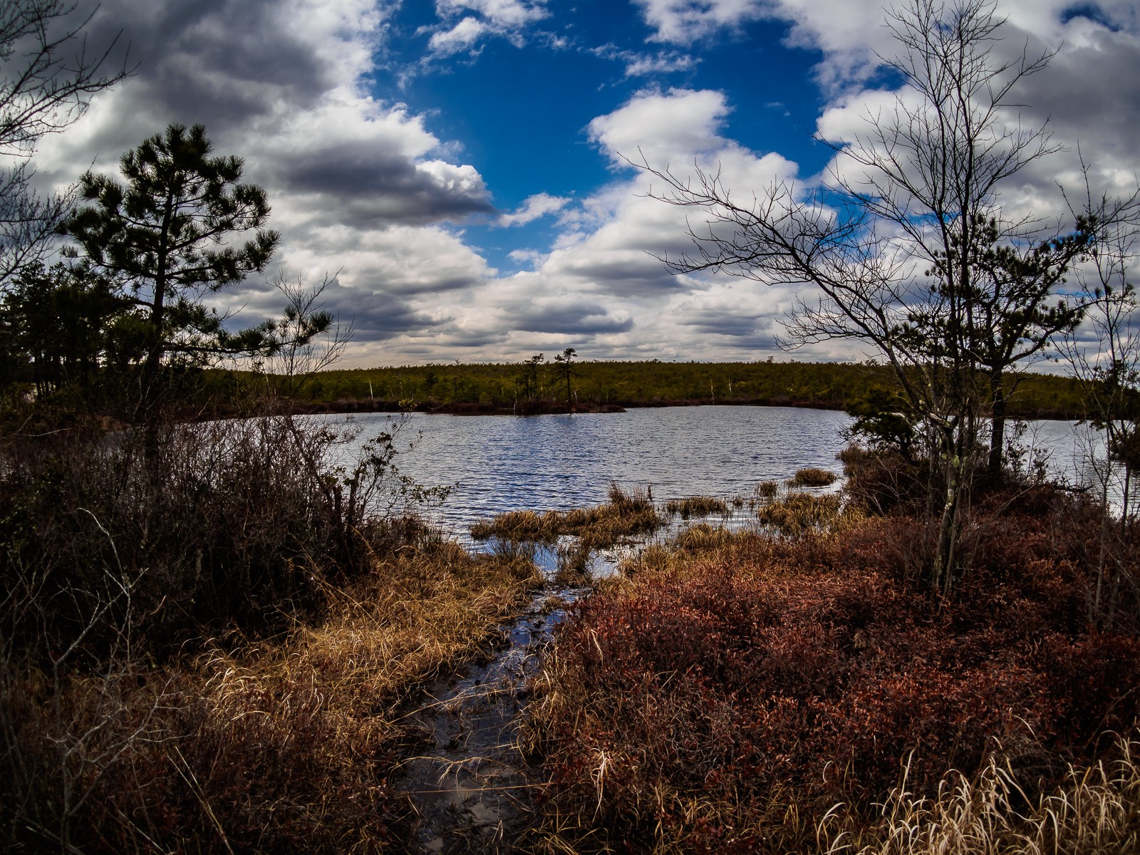 Bombing Range - Pine-lands - Louis Dallara Photography