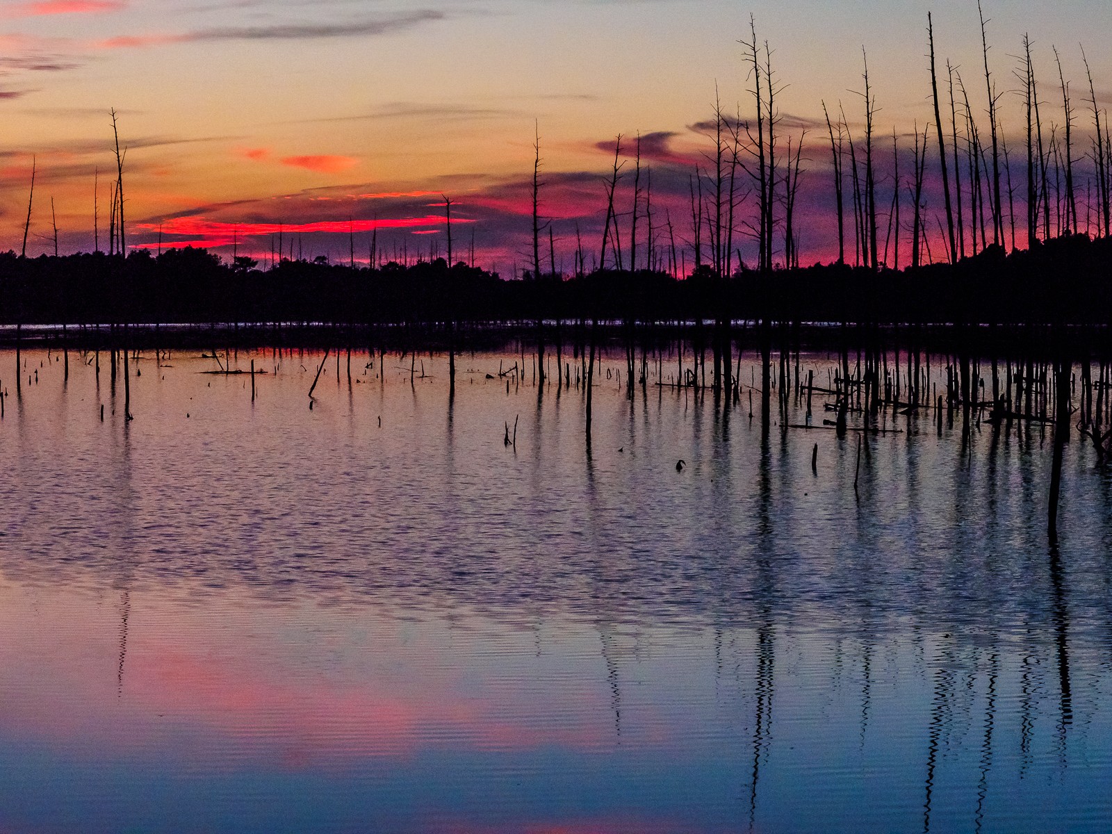 sunset-6644