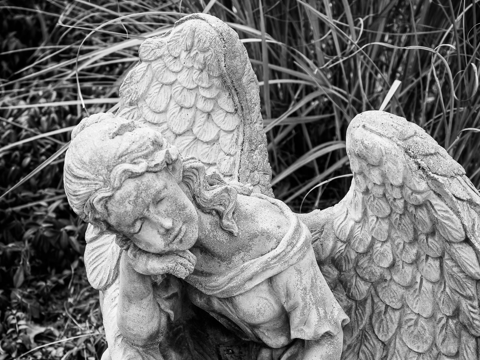 angels-7072