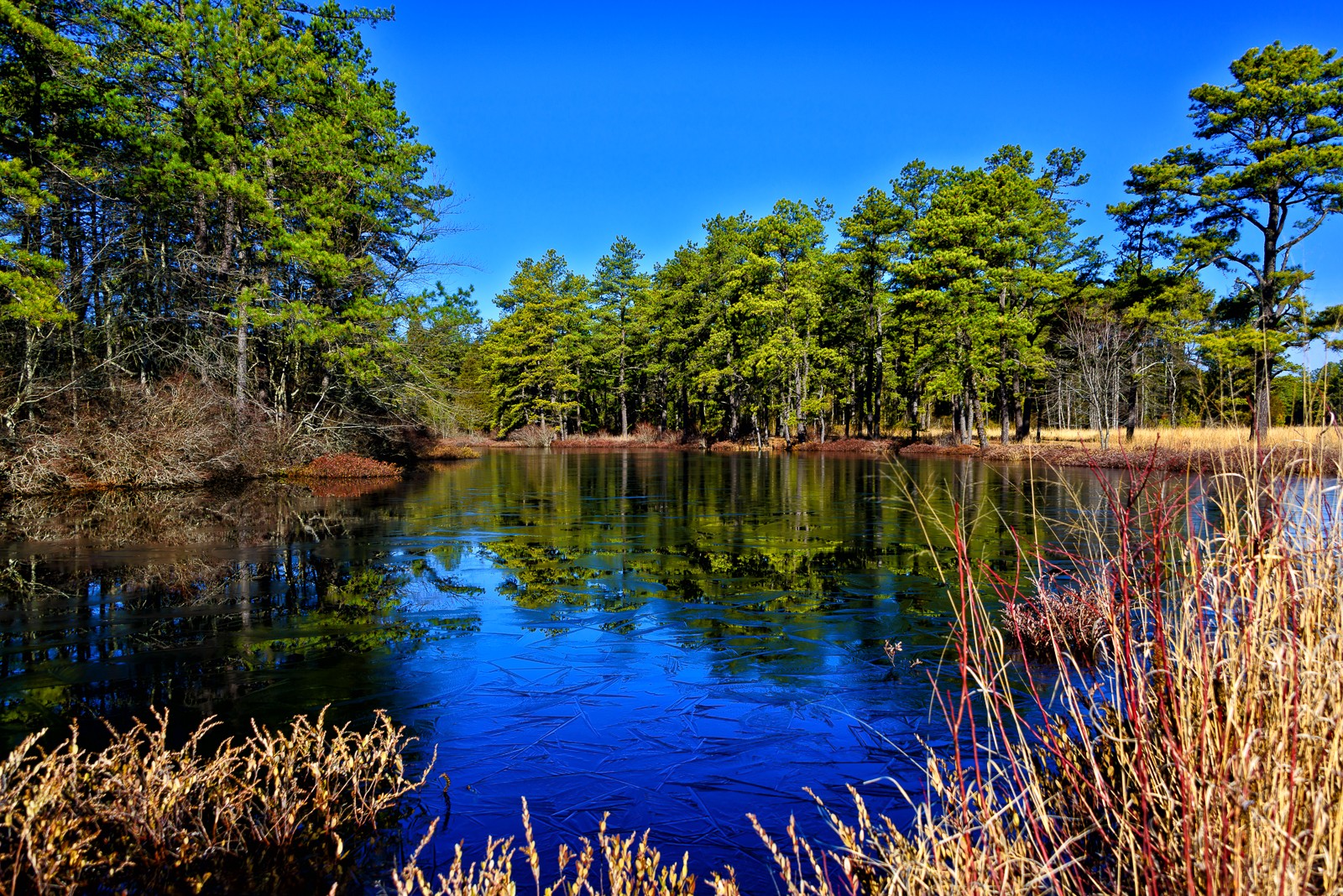 tunking-mill-pinelands-