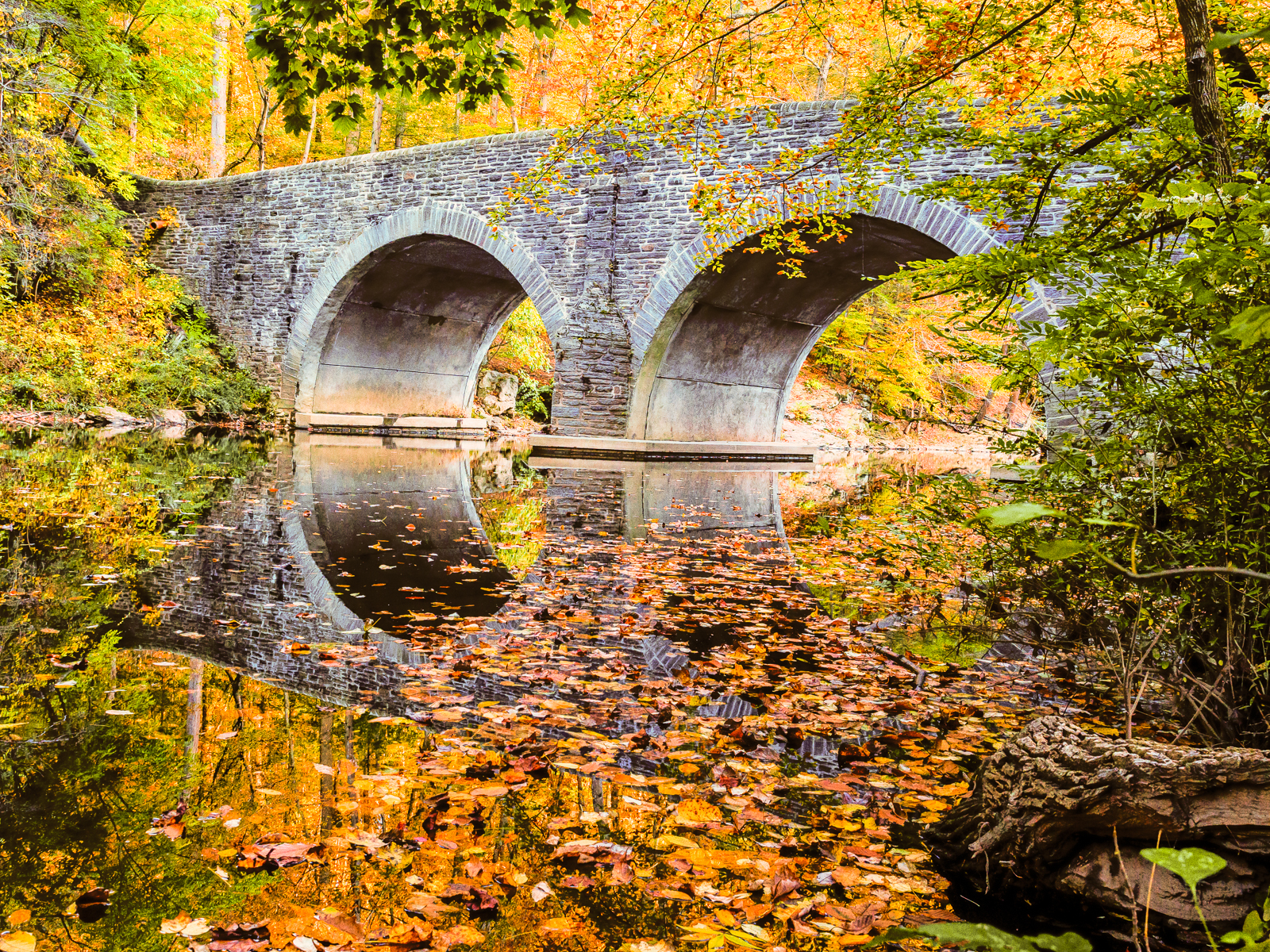 Wissahickon Valley Park Wissahickon Valley Park
