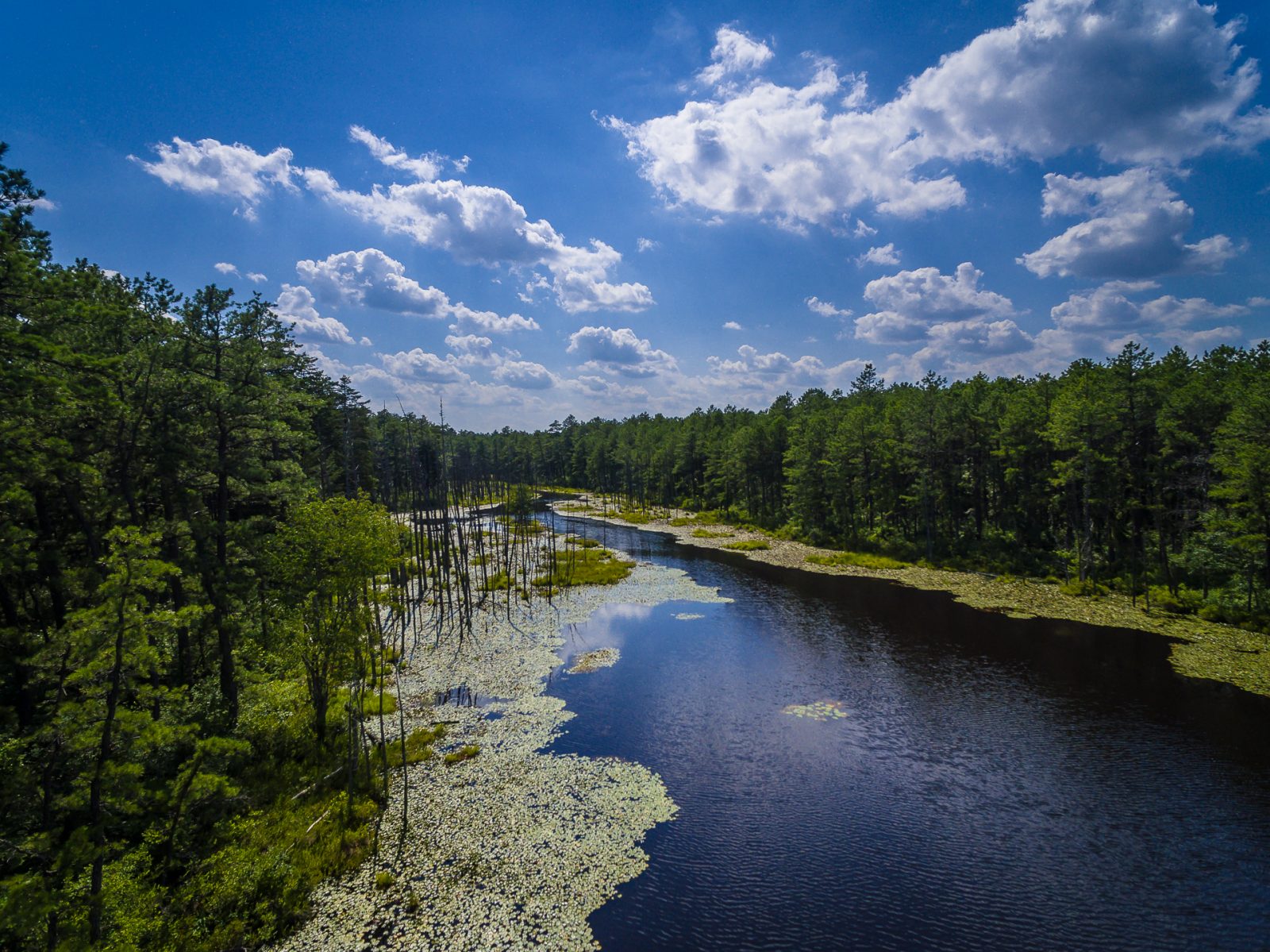 roberts-branch-0028 (10)