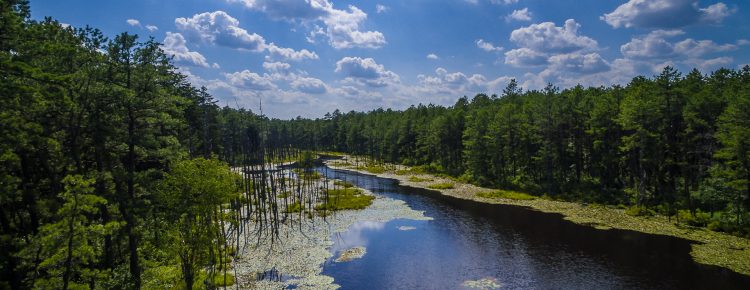 Aerial photo of roberts-branch stream