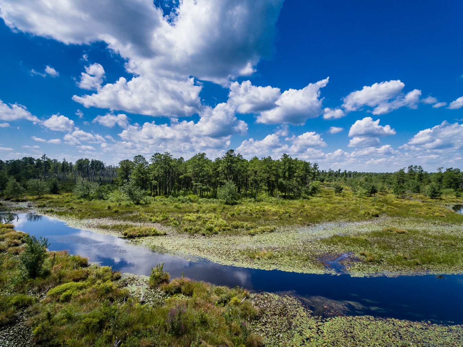 big-bend-mullica-river--2