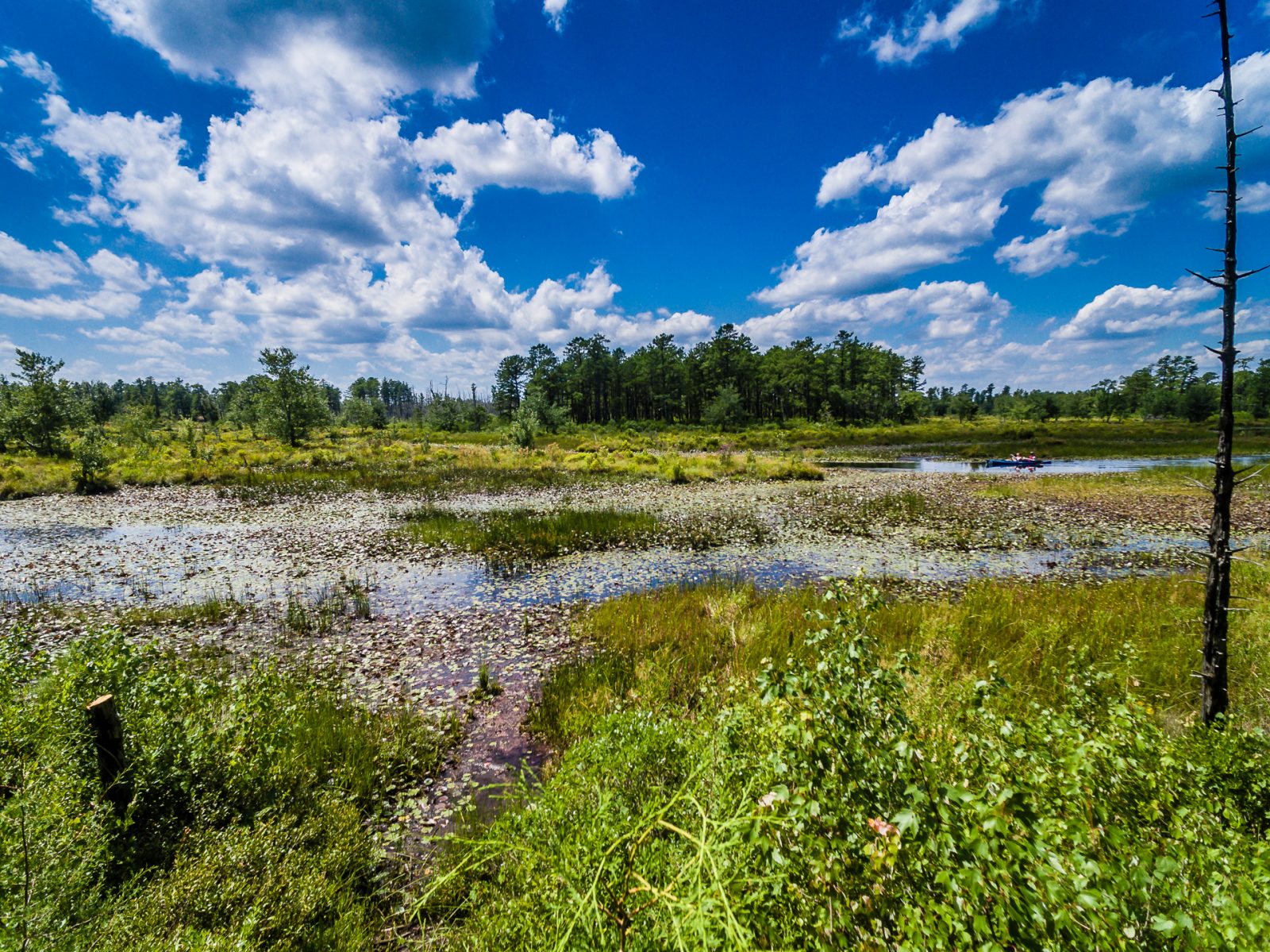 big-bend-mullica-river--4
