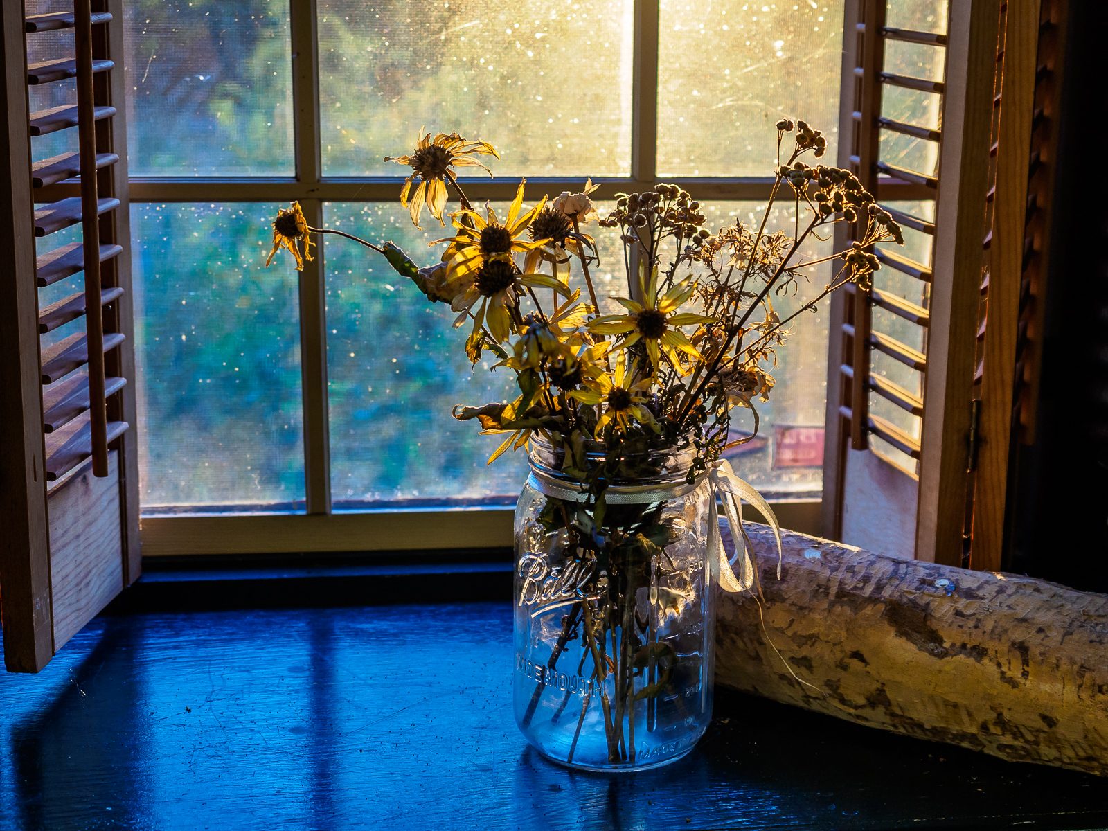 flowers-window-9120001