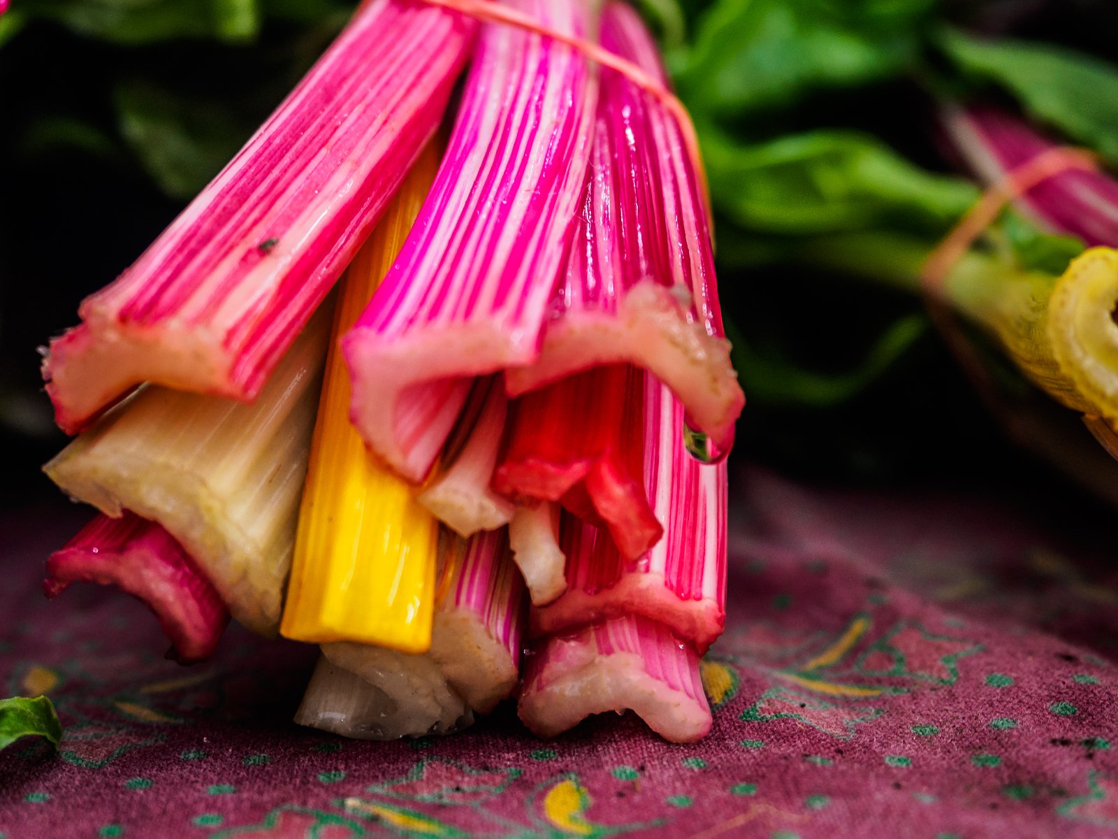 vegetables-farm-080007