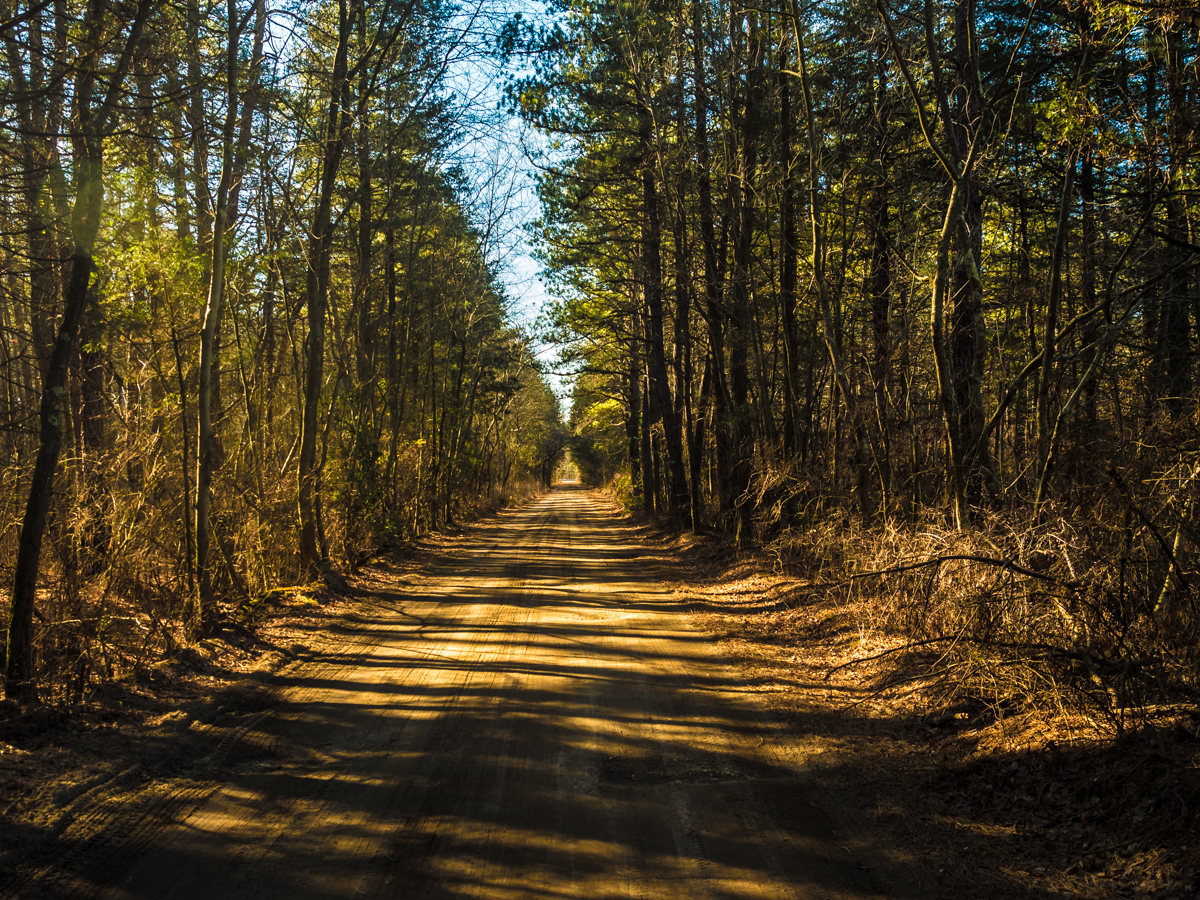 hampton-furance-road Photo