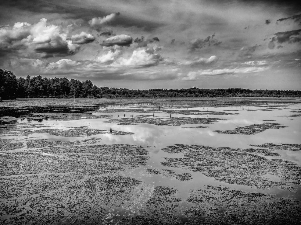Franklin Parker Preserve-PPA-