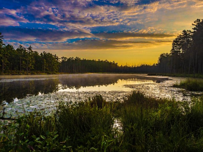 Sunrise at Roberts Branch