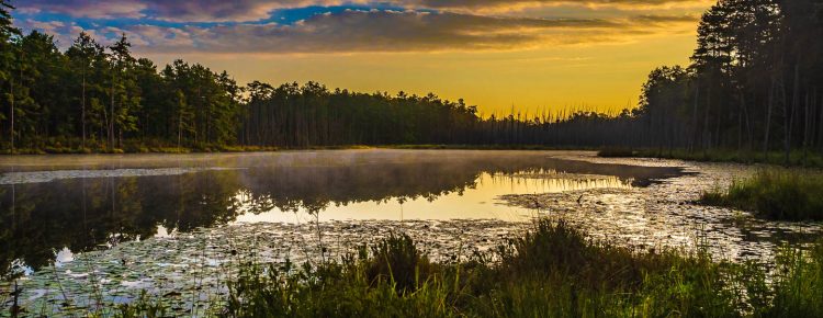 Sunrise at Roberts Branch