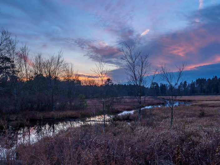 pine-lands-landscape-photo-110118