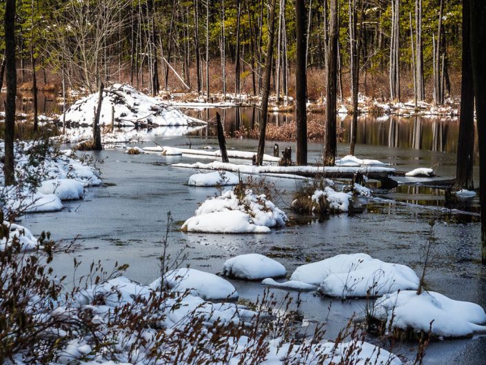 roberts-branch winter-photos-4863