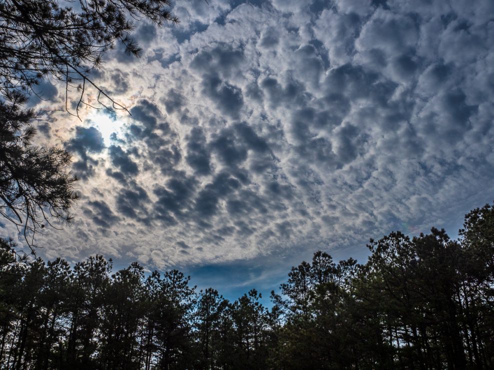 pine-lands-clouds-chatsworth-3300080