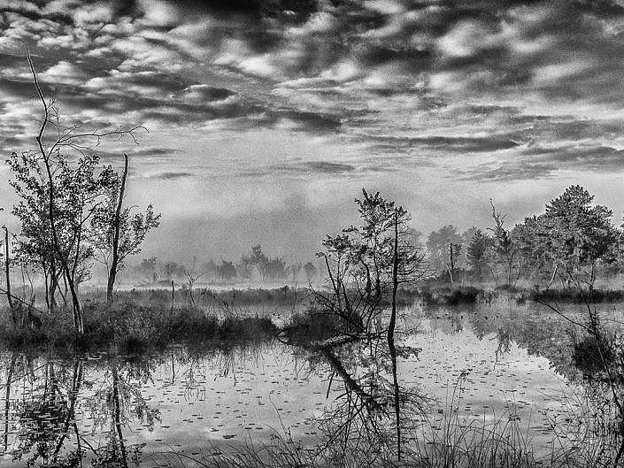 quakerbridge-b-w-