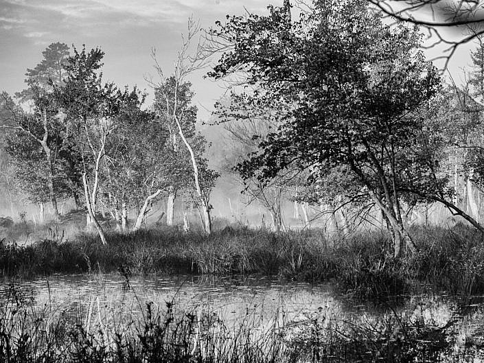 quakerbridge-b-w--2