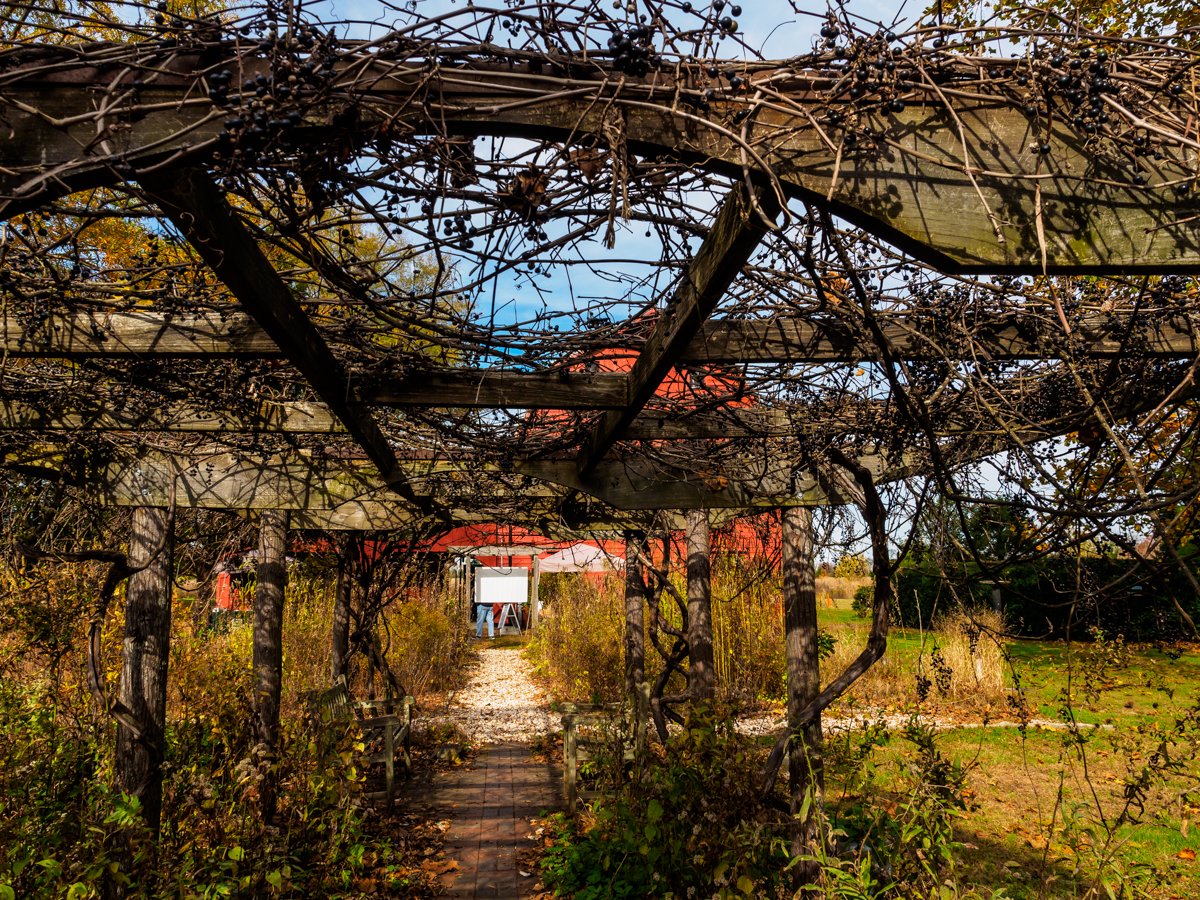 A shot of the path leading into the barn.