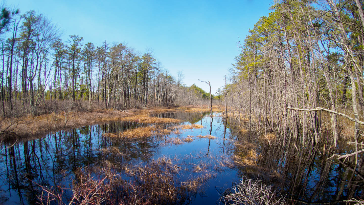 franklin-parker-preserve-landscape-11