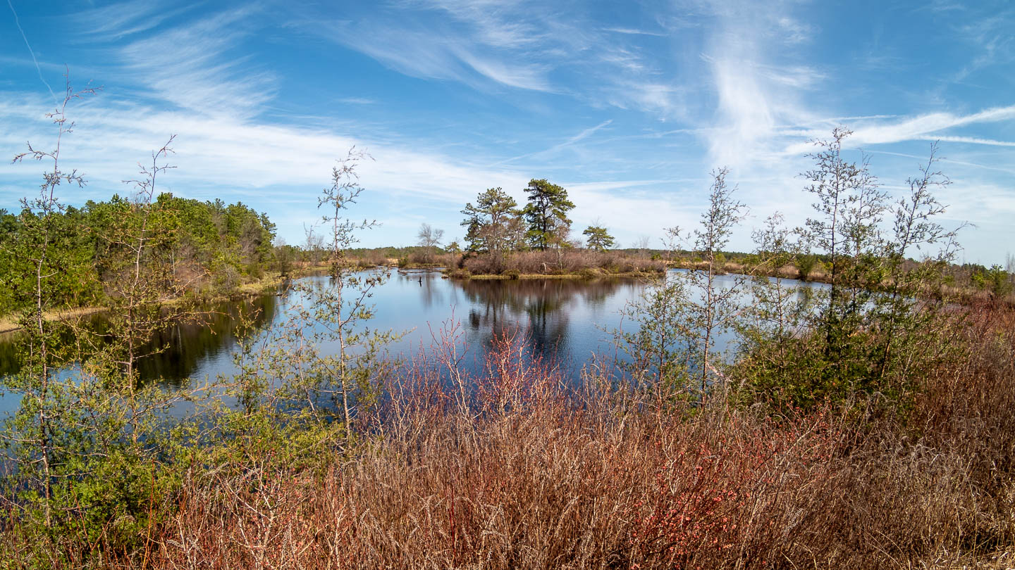 west-franklin-parker-preserve-trees