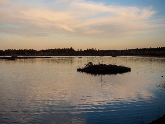pinelands-reflections-photos-2240493