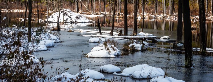 roberts-branch-photos-4863