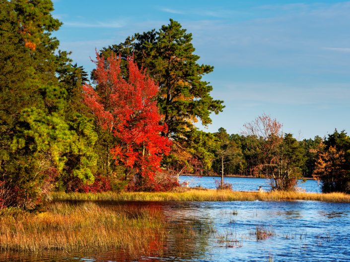 oswego-lake-pinelands