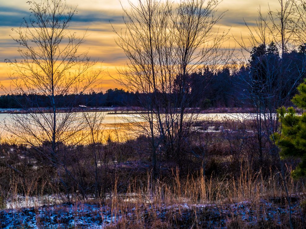 Whites Bog Sunset Photograph